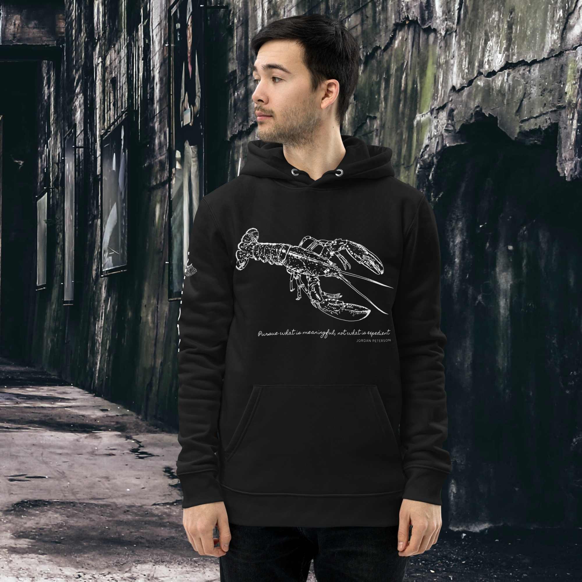 Jordan sale peterson hoodie